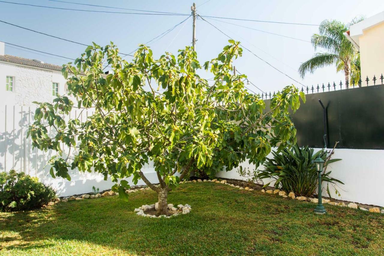 Casa Da Quintinha - Villa With A Pool سيسيمبرا المظهر الخارجي الصورة